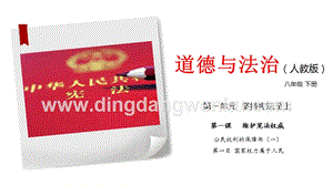 人教部編版八年級(jí)下冊(cè)道德與法制1.1公民權(quán)利的保障書（一）課件與素材.pptx