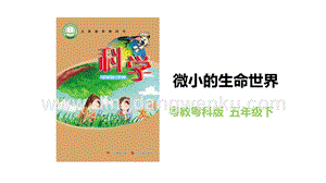 粵教粵科版五年級下冊科學微小的生命世界教學課件.pptx