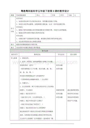粵教粵科版五年級下冊科學微小的生命世界教案.doc