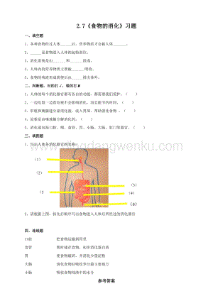粵教粵科版三年級下冊科學2.7《食物的消化》習題設計.doc