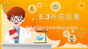 2020新湘科版三年級下冊科學5.3開花結果教學課件.ppt