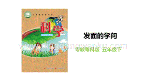 粵教粵科版五年級下冊科學2.11發面的學問教學課件.pptx