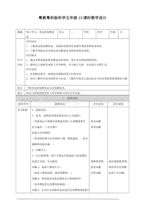 粵教粵科版五年級下冊科學2.13網上學習：身邊的發酵食品教案.doc
