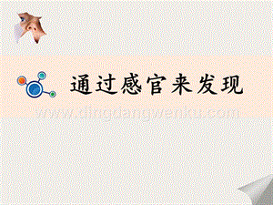 教科版二年級下冊科學2.通過感官來發現-教學課件.ppt