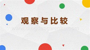 教科版二年級下冊科學3.觀察與比較-教學課件.pptx