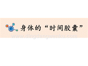 教科版二年級下冊科學6.身體的“時間膠囊”-教學課件.pptx