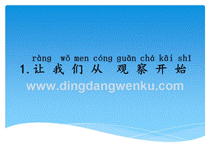 湘科版一年級下冊科學1.1讓我們從觀察開始課件.ppt