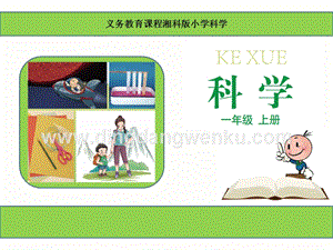 湘科版一年級上冊科學1.3給物體分類教學課件（共16張PPT）.ppt