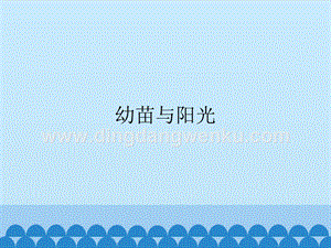 首師大版六年級上冊科學課件-5幼苗與陽光-(共14張PPT).pptx