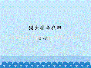 首師大版六年級上冊科學課件-6貓頭鷹與農(nóng)田-(共22張PPT).pptx