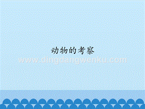首師大版六年級上冊科學課件-19動物的考察(共13張PPT).pptx