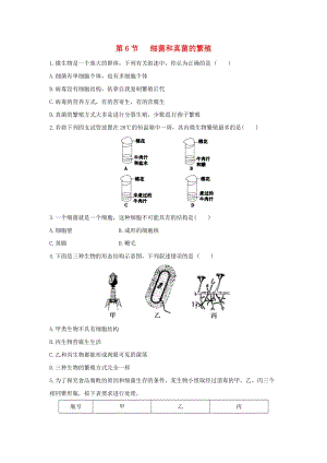 初中科學七年級下冊第1章代代相傳的生命第6節細菌和真菌的繁殖作業設計新版浙教版20200224141.doc