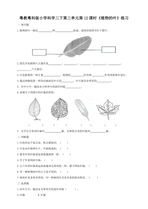 粵教粵科版小學科學三下第三單元第12課時《植物的葉》練習題附答案.doc