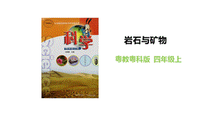 粵教粵科版四年級上冊科學《巖石與礦物》教學課件.pptx