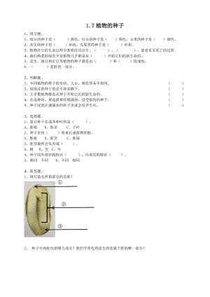 粵教粵科版四年級(jí)上冊(cè)科學(xué)《植物的種子》練習(xí)題附答案.doc