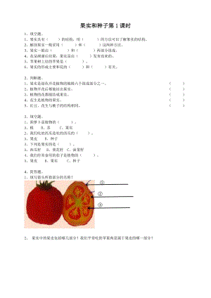 粵教粵科版三年級下冊科學《果實和種子》第1課時練習題附答案.doc