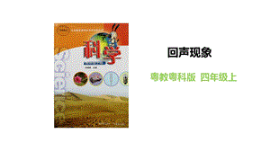 粵教粵科版四年級上冊科學回聲現象教學課件.pptx