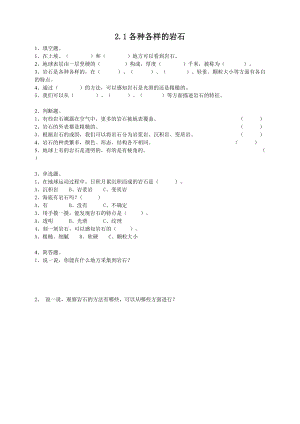 粵教粵科版四年級(jí)上冊(cè)科學(xué)各種各樣的巖石練習(xí)題附答案.doc