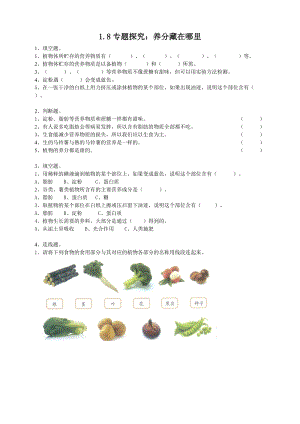 粵教粵科版四年級上冊科學專題探究：養分藏在哪里練習題附答案.doc