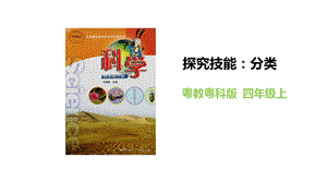 粵教粵科版四年級上冊科學探究技能：分類教學課件.pptx