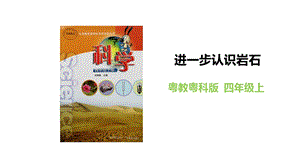 粵教粵科版四年級上冊科學進一步認識巖石教學課件.pptx