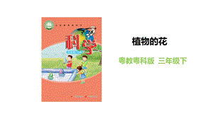 粵教粵科版三年級下冊科學(xué)3.15植物的花教學(xué)課件.pptx