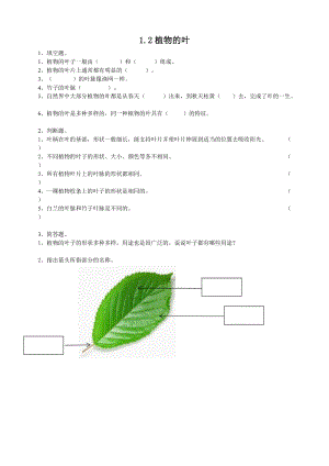 粵教粵科版四年級上冊科學(xué)《植物的葉》練習(xí)題附答案.doc