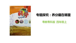 粵教粵科版四年級上冊科學《專題探究：養(yǎng)分藏在哪里》教學課件.pptx