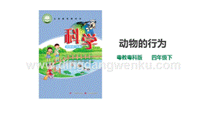 粵教粵科版小學(xué)科學(xué)四下第二單元第11課時(shí)《動(dòng)物的行為》課件.ppt
