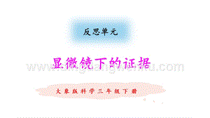 大象版三年級下冊科學顯微鏡下的證據教學課件.pptx