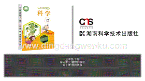 湘科版三年級下冊科學(xué)第4單元第2課-根的奧秘 教學(xué)課件（含視頻素材）.pptx