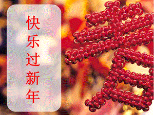 部編版一年級(jí)下冊(cè)道德與法制《15 快樂(lè)過(guò)新年》課件1.ppt