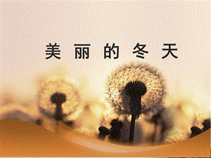 部編版一年級下冊道德與法制《13 美麗的冬天》課件（1）..ppt