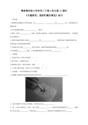 粵教粵科版小學科學三年級下冊第17課時專題探究：脂肪貯藏在哪里練習題附答案.doc