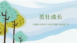 大象版三年級下冊科學3.3《茁壯成長》精品課件.pptx