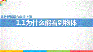 新粵教粵科版六年級上冊科學1.1《為什么能看到物體》課件(含視頻素材）.ppt