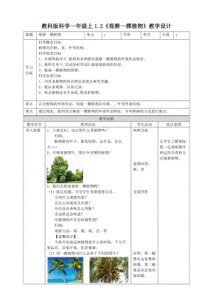 教科版一年級上冊科學1.2觀察一棵植物教案.doc