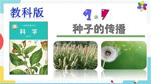 教科版四年級下冊科學1.7種子的傳播課件.pptx