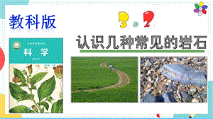 教科版四年級下冊科學3.2認識幾種常見的巖石課件.pptx