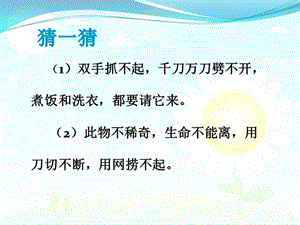 大象版一年級下冊科學1.1《水的特征》公開課課件（河南劉老師市級優課）.pptx