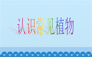 大象版一年級(jí)下冊科學(xué)2.1認(rèn)識(shí)常見植物公開課課件（河南王老師）.ppt