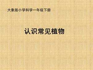 大象版一年級下冊科學2.1《認識常見植物》公開課課件（安徽陳老師市級優課）.ppt