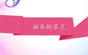 大象版一年級下冊科學(xué)2.2缺水的吊蘭公開課課件（河南王老師）.pptx