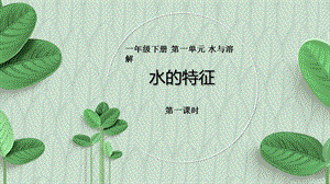 大象版一年級下冊科學1.1《水的特征》公開課課件（河南婁老師縣級優課）.pptx