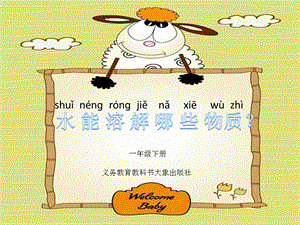 大象版一年級下冊科學(xué)1.3水能溶解哪些物質(zhì)公開課課件（安徽張老師縣級優(yōu)課）.pptx