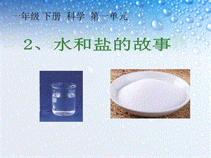 大象版一年級下冊科學1.2水和鹽的故事公開課課件（河南張老師）.ppt