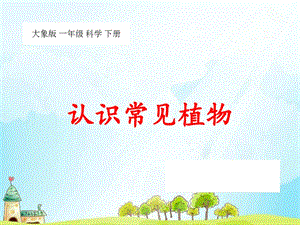 大象版一年級(jí)下冊科學(xué)2.1認(rèn)識(shí)常見植物公開課課件（河南顧老師）.ppt