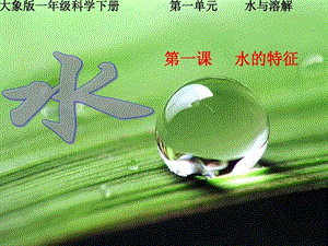 大象版一年級下冊科學1.1《水的特征》公開課課件（河南李老師B縣級優課）.ppt