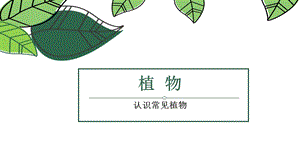 大象版一年級(jí)下冊科學(xué)2.1認(rèn)識(shí)常見植物公開課課件（河南邵老師）.ppt