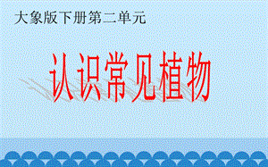 大象版一年級下冊科學2.1《認識常見植物》公開課課件（河南王老師B）.ppt